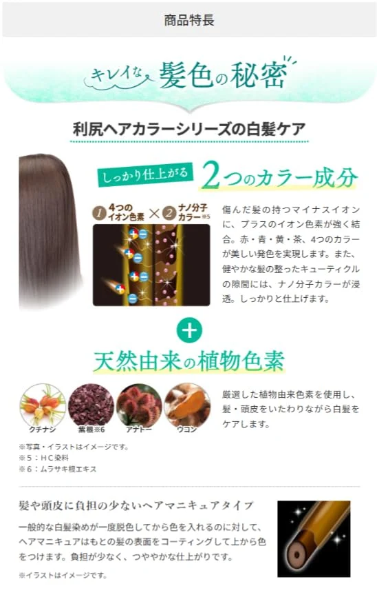 Sastty Rishiri Hair Color Treatment Black 200g for Gray Hair Coverage