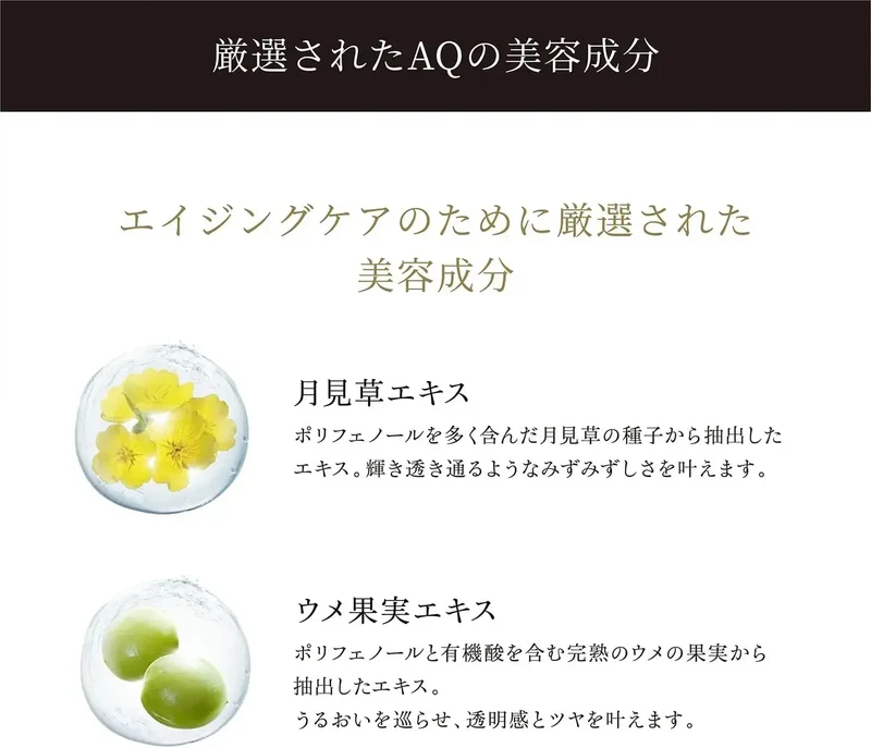Decorte AQ Radiance Airy Cleansing Foam 125g for Routine Care