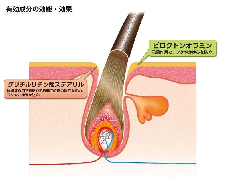 Kaminomoto Hair Conditioner B&P 300mL