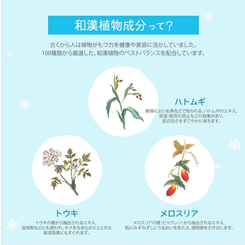 KOSÉ SEKKISEI Herbal Tonic SAVE The BLUE 500mL
