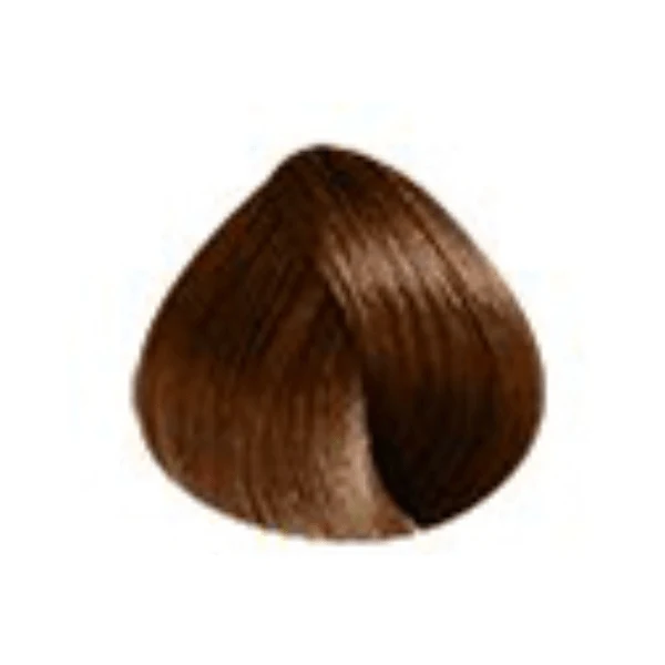 Coloration permanente brunettes Colorsmetique Revlonissimo