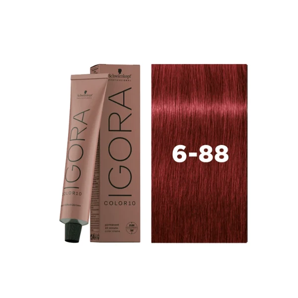 Coloration permanente Igora Color 10