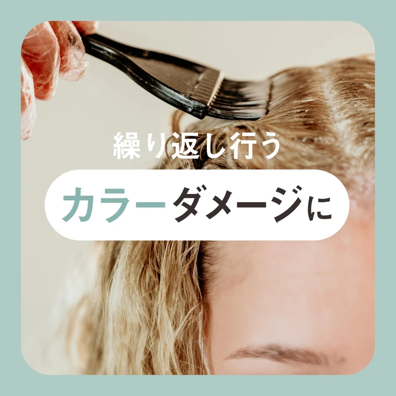THE ANSWER EX Repair Hair care for Color Damage 220g