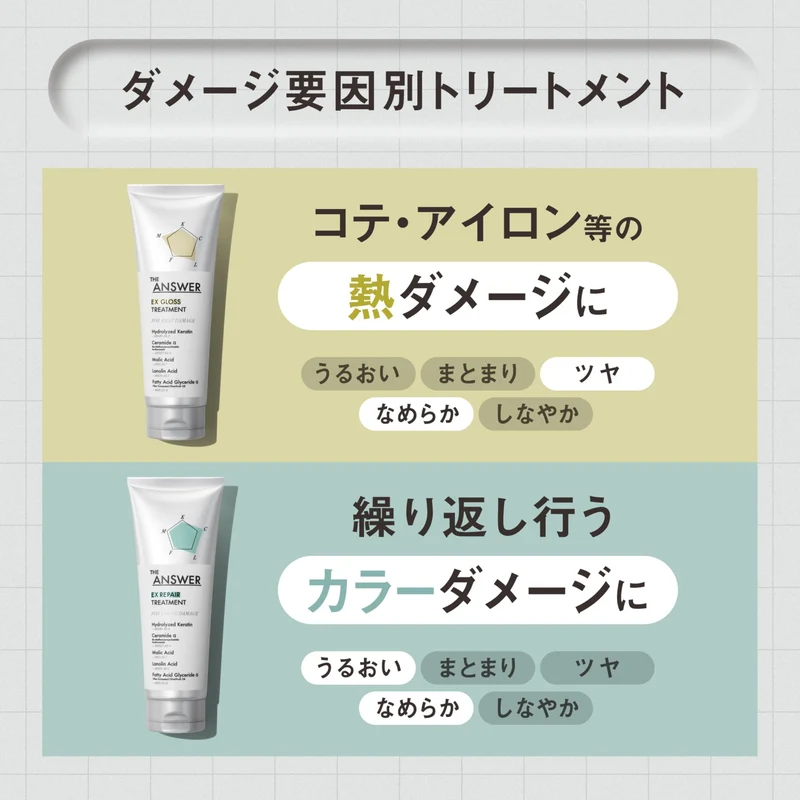 THE ANSWER EX Moist Hair care for Daily Damage 220g