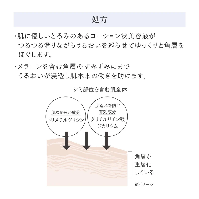 Shiseido HAKU Refiner Refill 110mL Brightening Serum