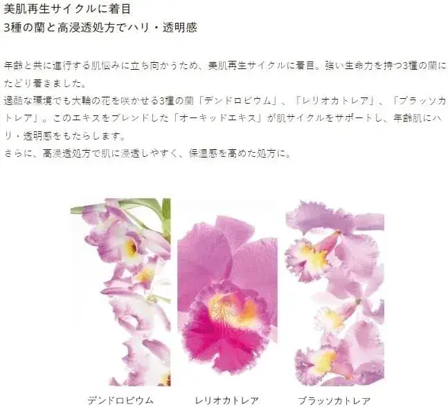 Coyori Colorful Serum Oil 20 ml No-Rubbing Face Oil Dry Skin