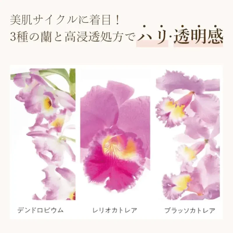 Coyori Saisei Moisturizing Lotion 100mL Natural Daily Skin Care