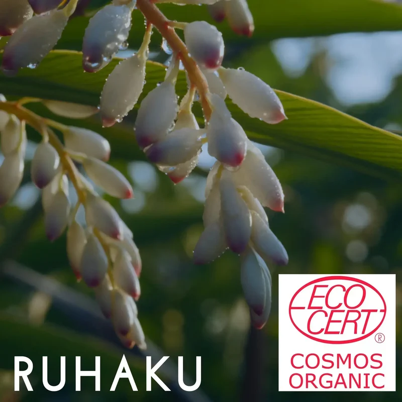 RUHAKU Shell Ginger Night Repair Oil 17ml Night Skincare Routine