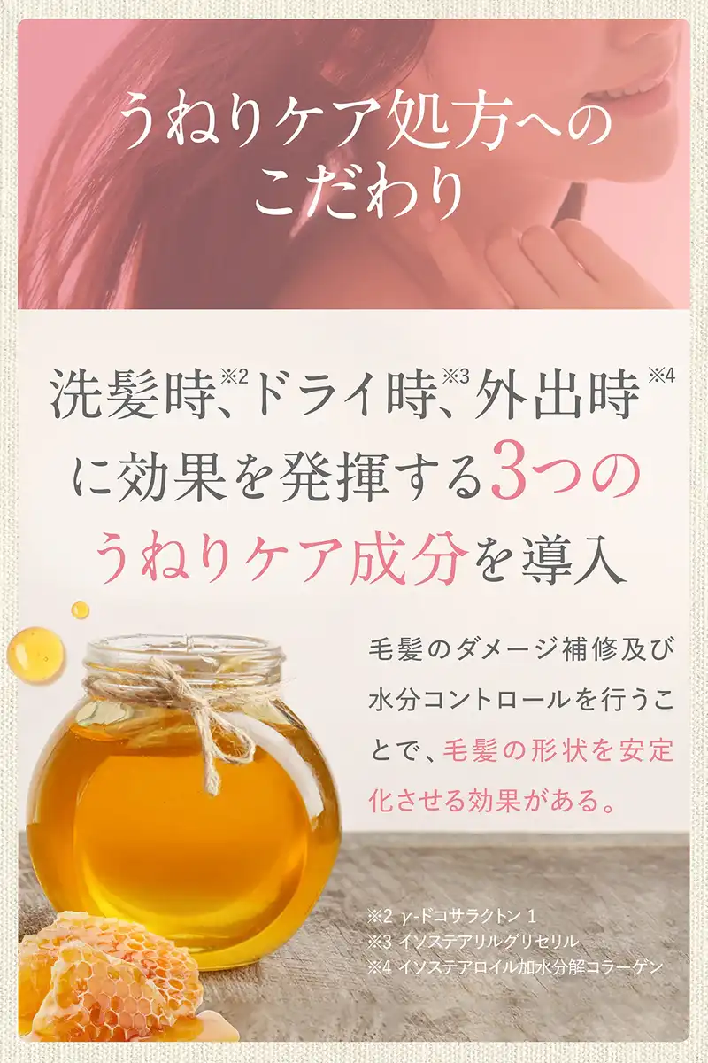 &honey Melty Moist Repair Shampoo 1.0 - Treatment 2.0 - Hair Oil 3.0