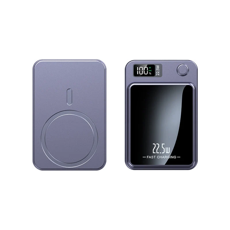 LuxCharge Elite Power Bank | Ultra-Sottile Caricatore 20000mAh