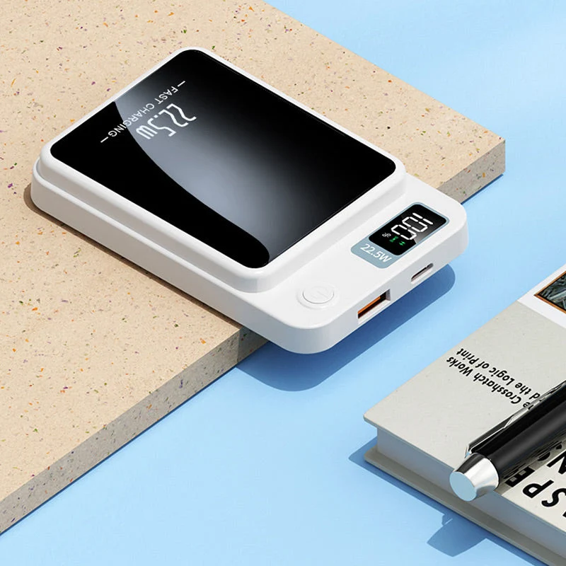 LuxCharge Elite Power Bank | Ultra-Sottile Caricatore 20000mAh