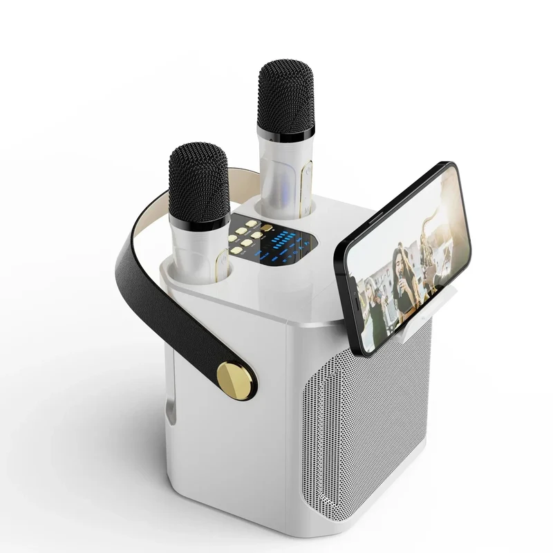 Potente Cassa Karaoke Bluetooth Portatile - Surround 360°