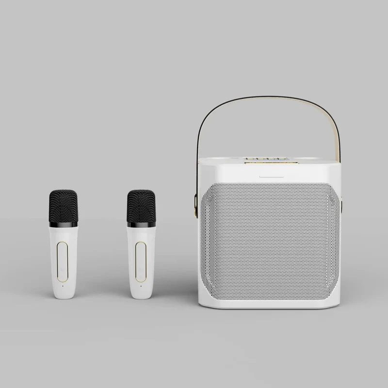 Potente Cassa Karaoke Bluetooth Portatile - Surround 360°