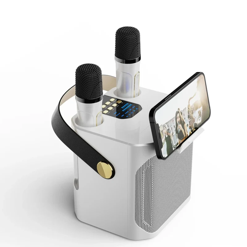 Potente Cassa Karaoke Bluetooth Portatile - Surround 360°