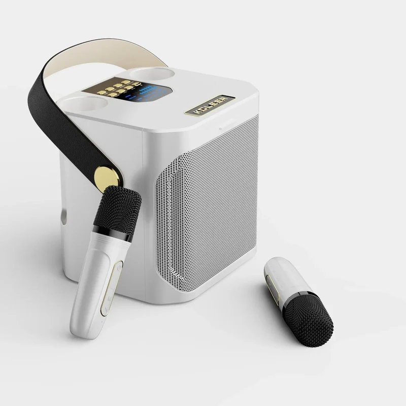 Potente Cassa Karaoke Bluetooth Portatile - Surround 360°