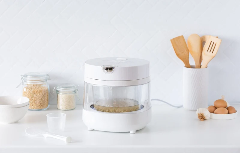 Healthy Choice PFAS Free 5 Cup Glass Rice Cooker with Low Sugar Basket 600W