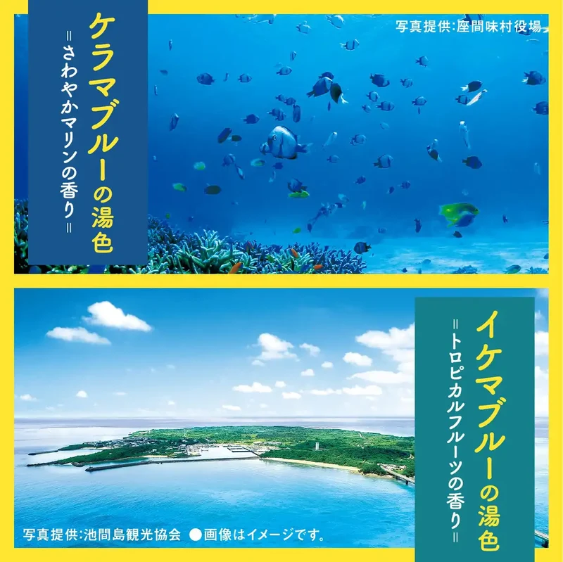 Bus Romance Travel Okinawa Medicinal Bath Additives - 4 Scents 12 Packets