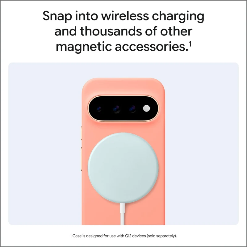 Google Pixelsnap Case for Pixel 11 Pro (Fog)