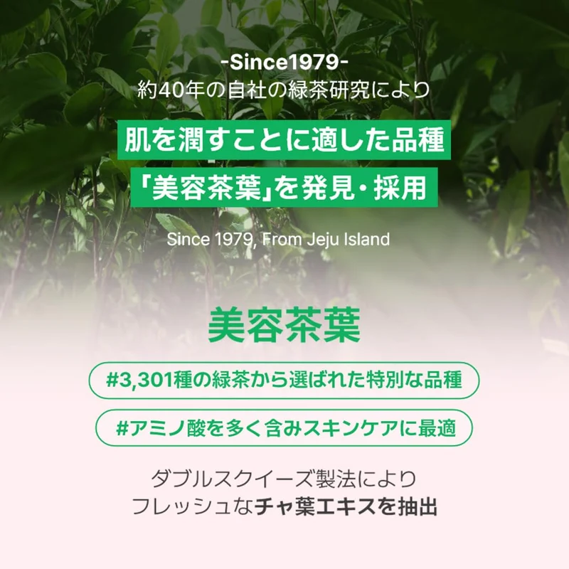 Innisfree Green Tea Seed Hyaluronic Cream My Melody Limited Edition 50mL