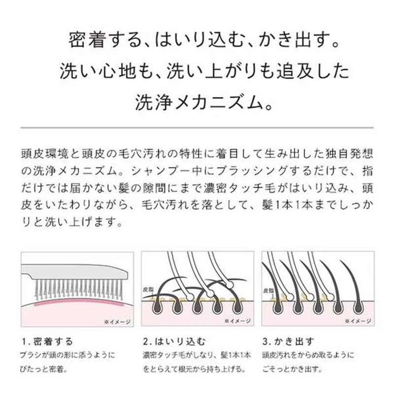 ReFa Ion Care Brush Premium (Black)
