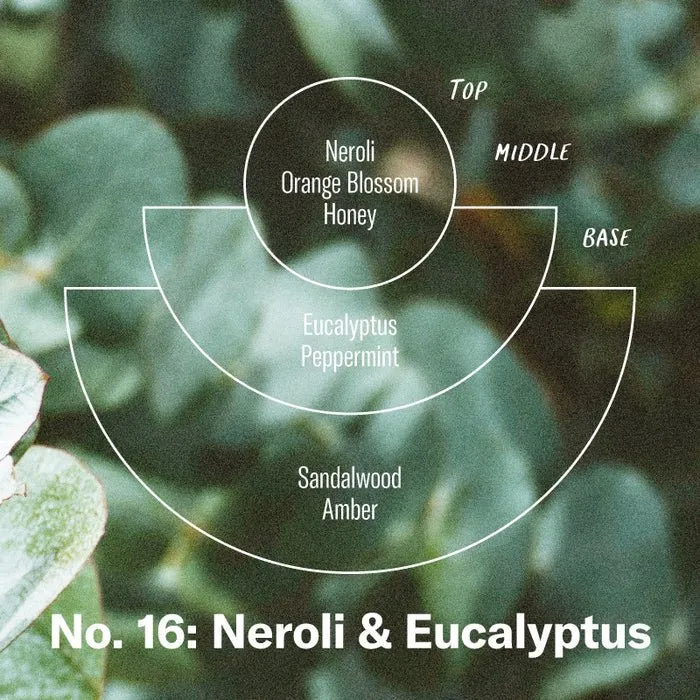 No. 16 Neroli & Eucalyptus 204 g