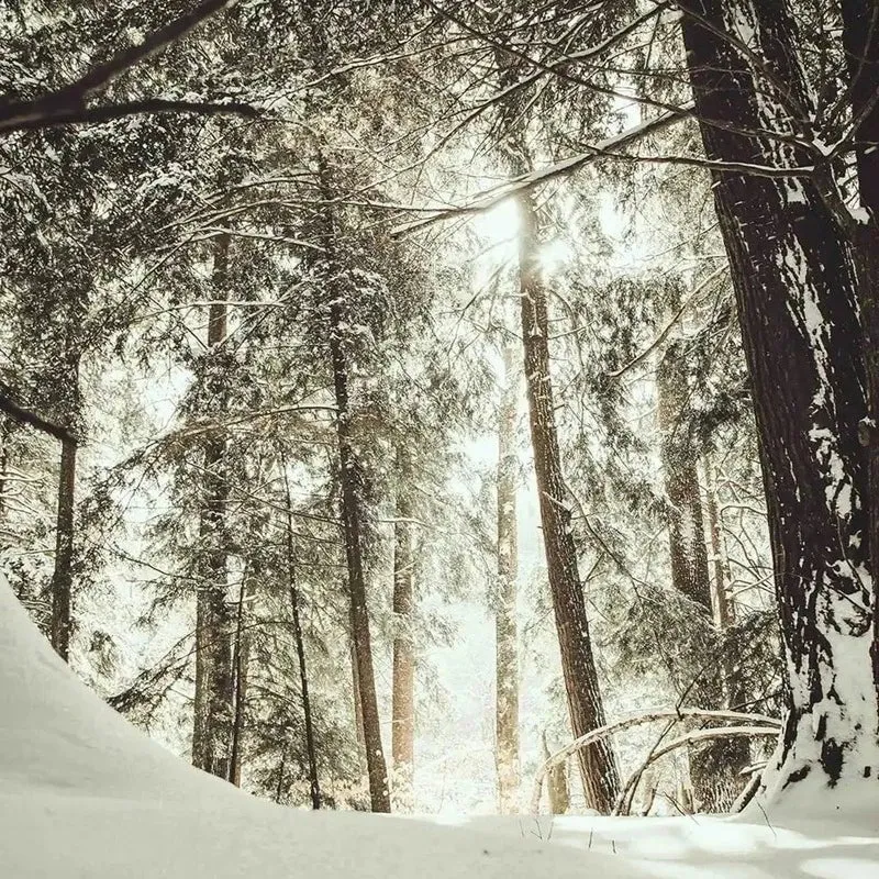 Winterzeit Duftkerze Limitierte Winteredition