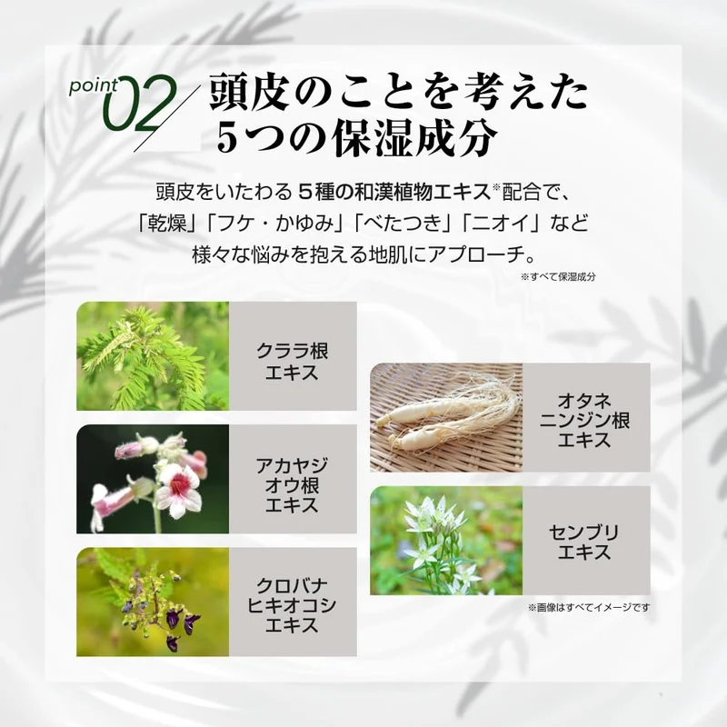 Kaminomoto Delta Scalp Conditioner 300mL