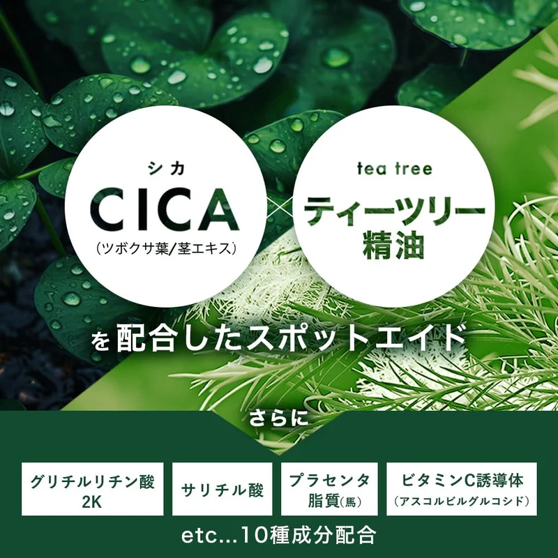 Takeuchi Pharmaceutical Cica Hydrocolloid Nose Acne Patch with Tea Tree