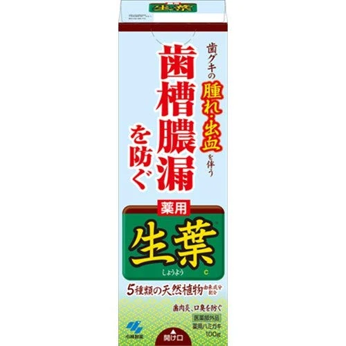 Kobayashi Pharmaceutical Fresh Leaves Shoyo A 100G Natural Herbal Remedy