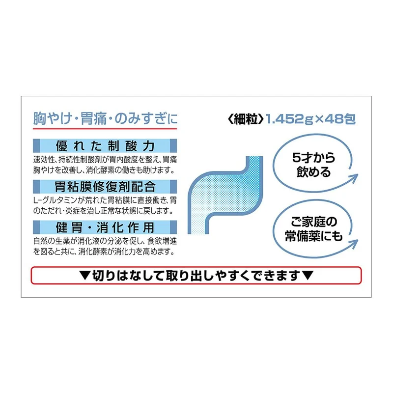 Pansilon G [Class 2 OTC Drug] 48 Packets - Effective Health Solution