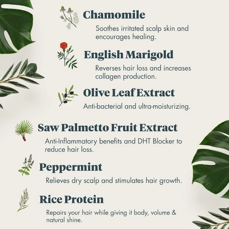 Revitalisant hydratant "Prime" favorise une croissance saine des cheveux - Pour tous types de cheveux clairsemés