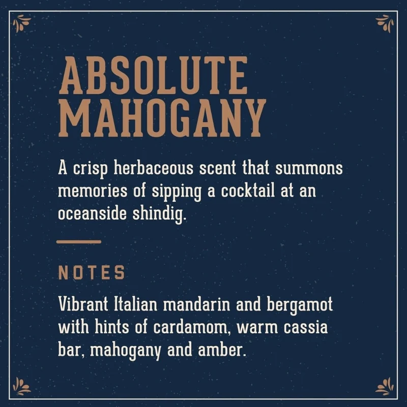 Nettoyant 3 en 1 barbe, cheveux et corps "Absolute Mahogany"