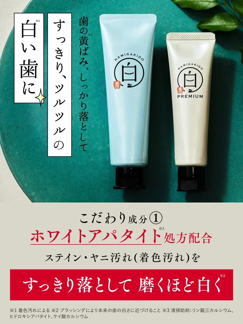 Hamigakido Medicated Whitening Toothpaste Fresh Mint 90g Gum Care