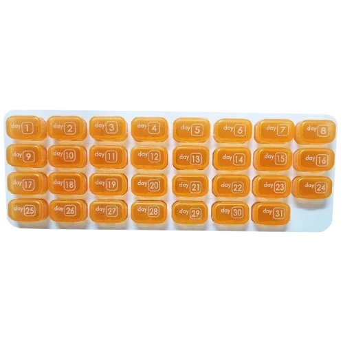 Grand Pilulier mensuel - 31 cases pour un mois