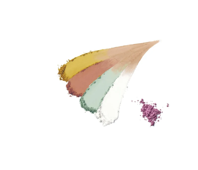 POLA Diem Couleur Color Blend Powder Concealer 5g