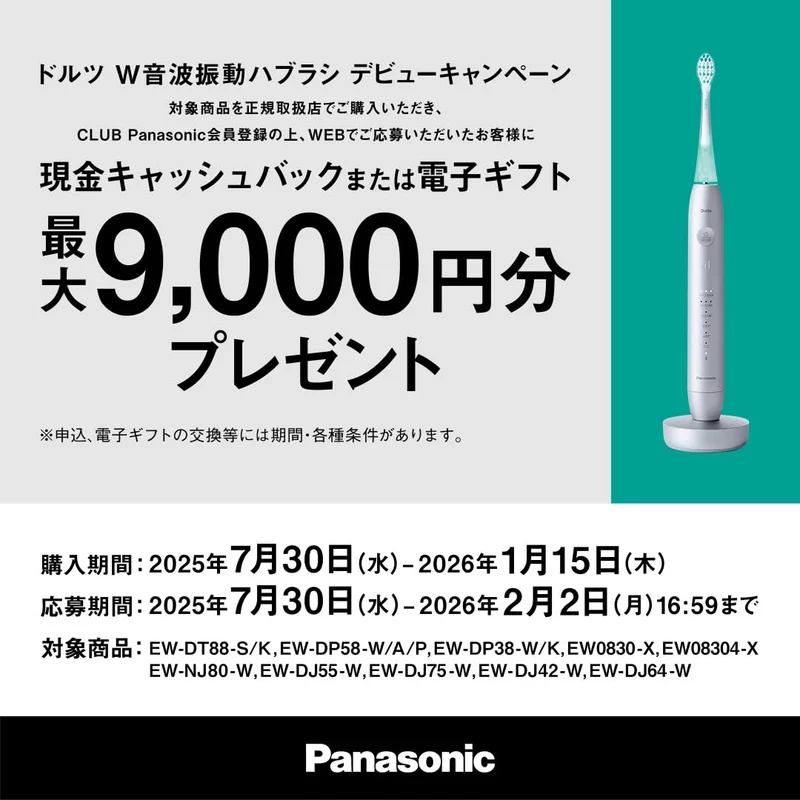 Panasonic Doltz Sonic Vibration Toothbrush EW-DP58-W Pearl White AC100-240V