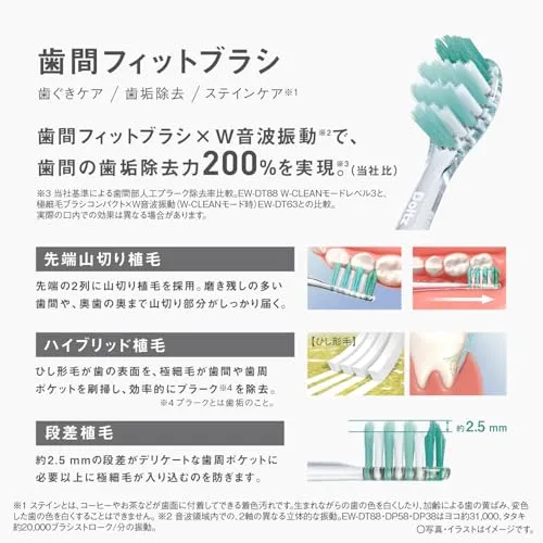 Panasonic Doltz Sonic Vibration Toothbrush Bluetooth EW-DT88-S Silver AC100-240V