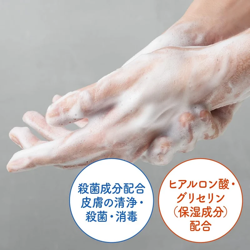 Biore The Hand Foaming Soap Herbal Wood Scent Pump 280ml