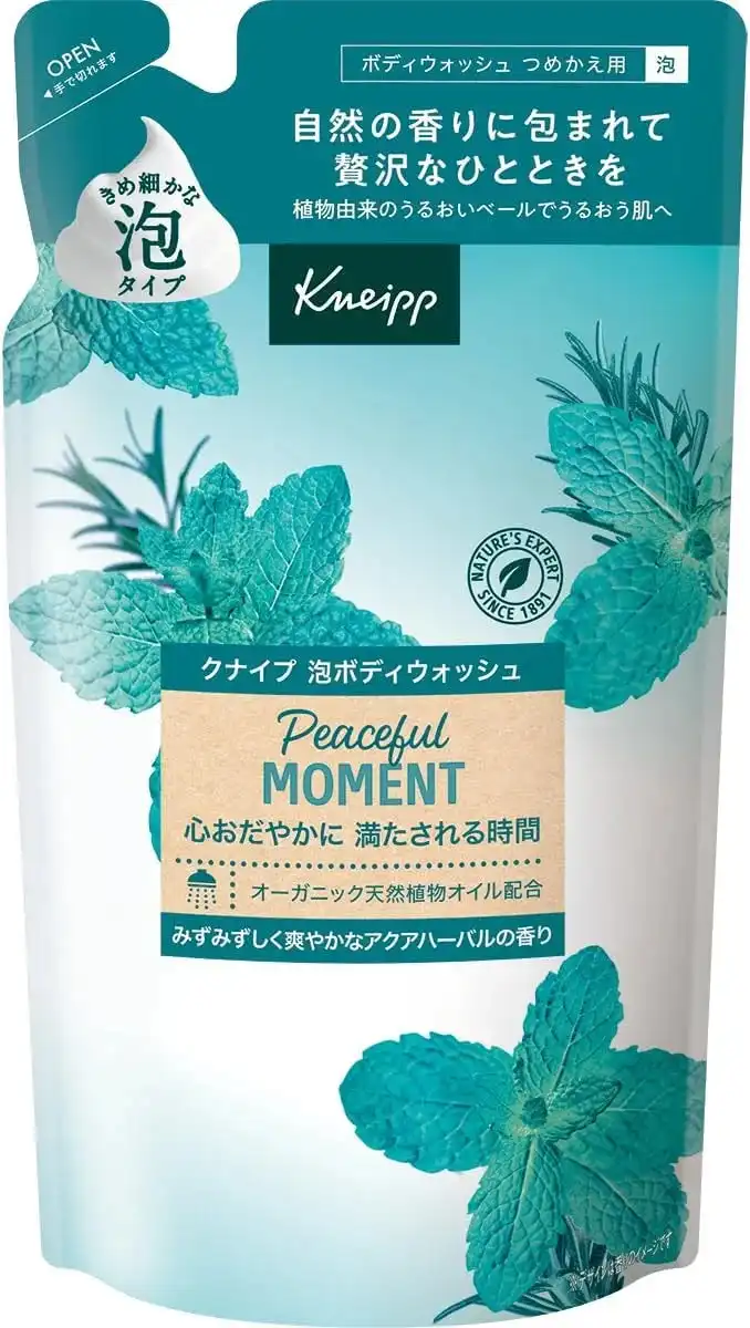 Kneipp Foam Body Wash Super Mint Scent Refreshing Cleanser 15.9 oz Kneipp