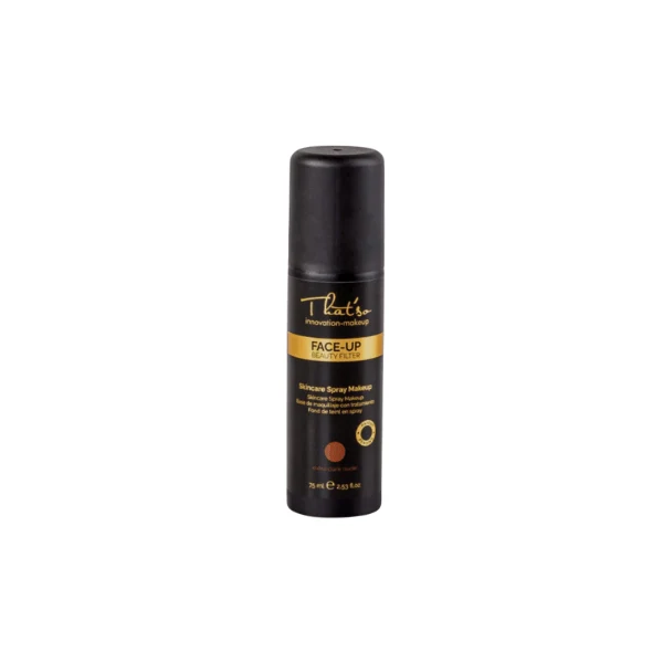 Fond de teint en spray Face-Up Beauty Filter