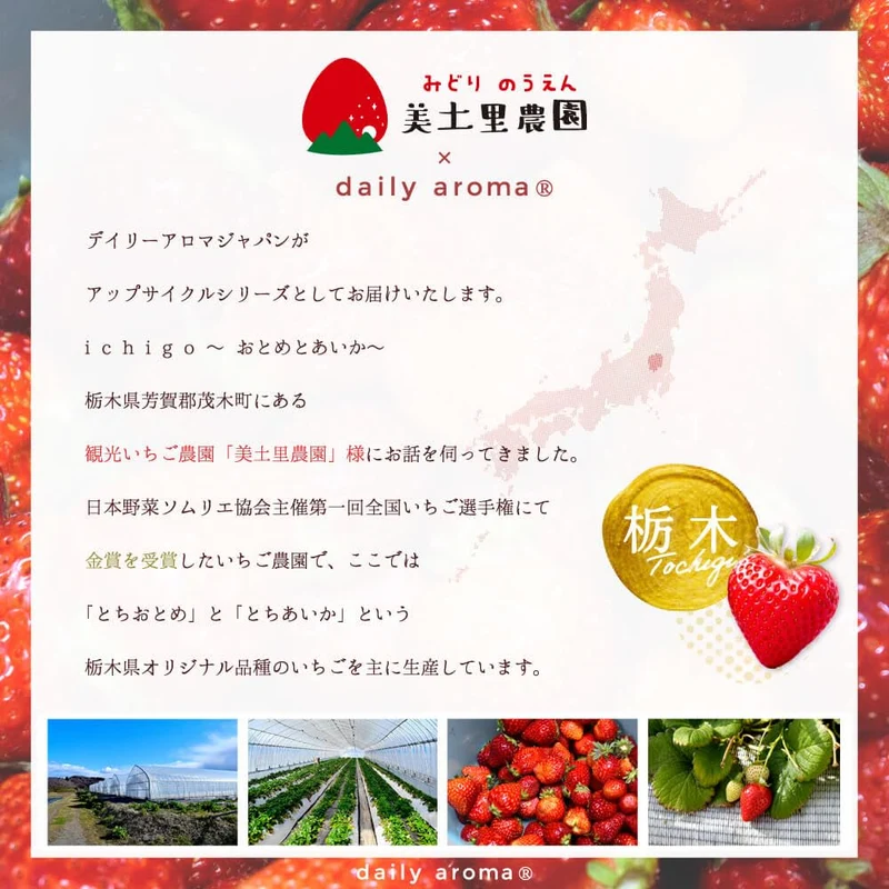 Daily Aroma and Tochigi Midori Farm Strawberry Hand Cream 75ｇ