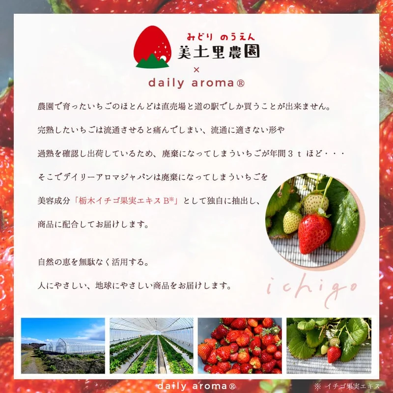 Daily Aroma and Tochigi Midori Farm Strawberry Hand Cream 75ｇ