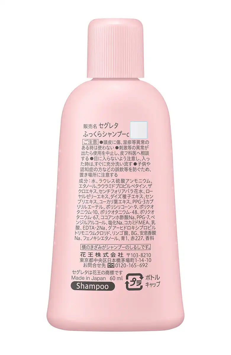Segreta Sp Mini: Fluffy Neat Hair with Just One Application