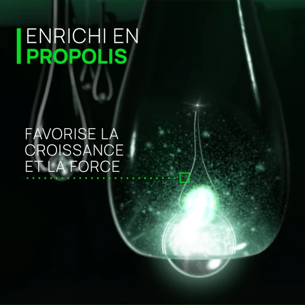 Traitement antichute réactionnelle Triphasic Reactional