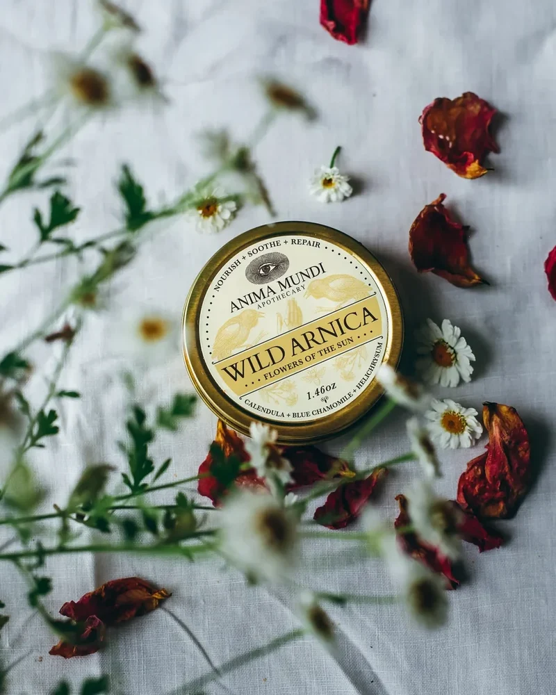 Wild Arnica Balm: Flowers of the Sun 41,3 g