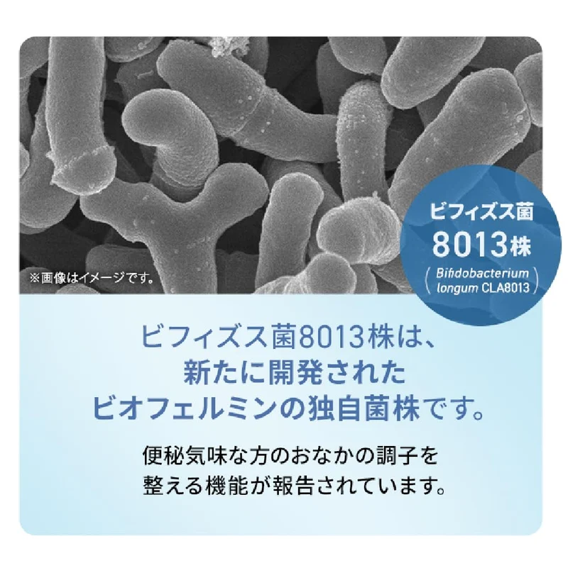 Taisho Biofermin Smart Gut Support Supplement 60 Tablets 30-Day Supply