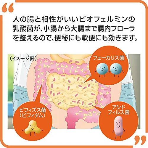 Taisho New Biofermin S 540 Tablets