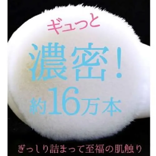 Facial Cleansing Brush NYF-800