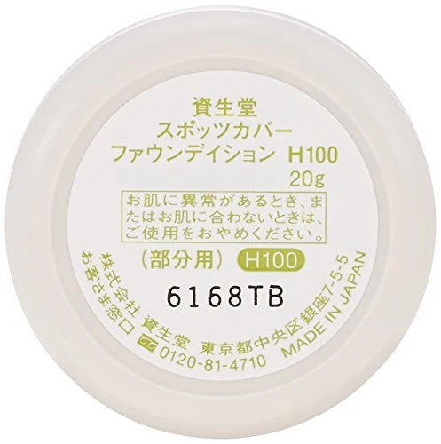 Shiseido Spotscover Foundation