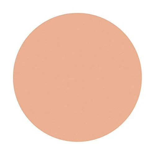 Shiseido Spotscover Foundation